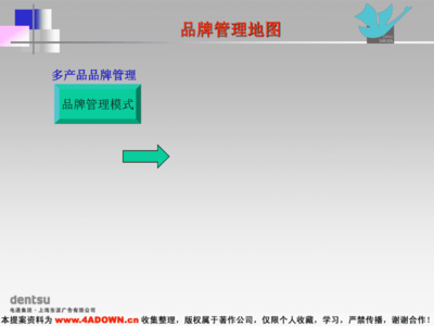 小天鹅品牌管理方案